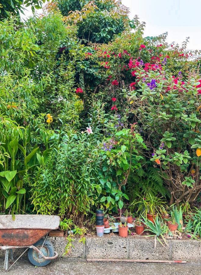 Apartment With Huge Deck Nestled In Marvelous Gardens - Nidos La Orotava Extérieur photo