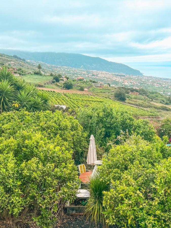Apartment With Huge Deck Nestled In Marvelous Gardens - Nidos La Orotava Extérieur photo