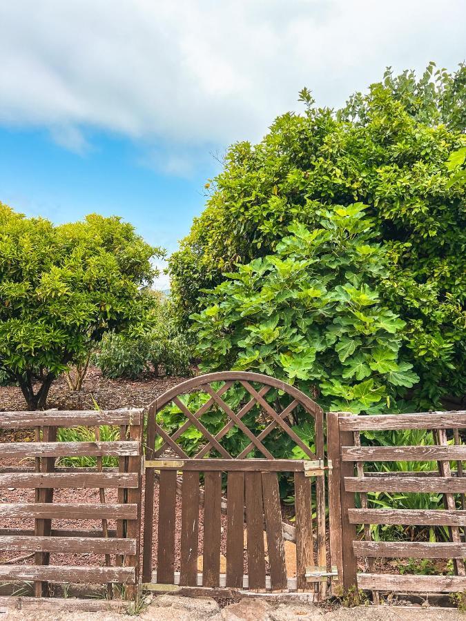 Apartment With Huge Deck Nestled In Marvelous Gardens - Nidos La Orotava Extérieur photo